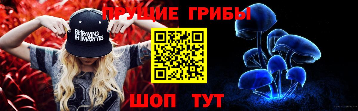 Сосновый Бор  Псилоцибиновые грибы Cubensis  Вход с VPN 